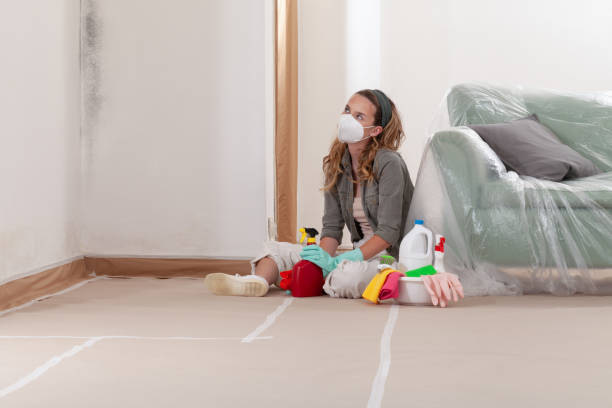 Reliable Mold Remediation contractor in Fort Lee, VA by WQB Mold Removal